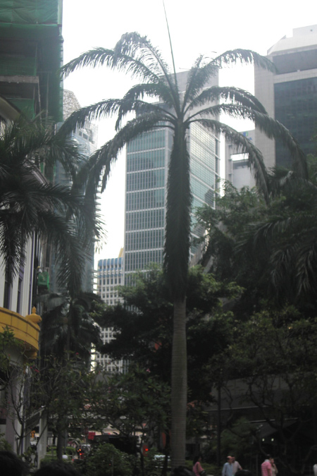 CIMG5036